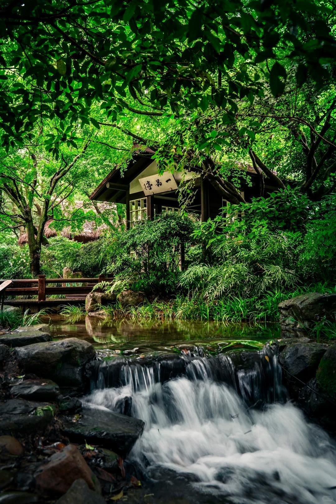 Forest stream near Xuedou Mountain