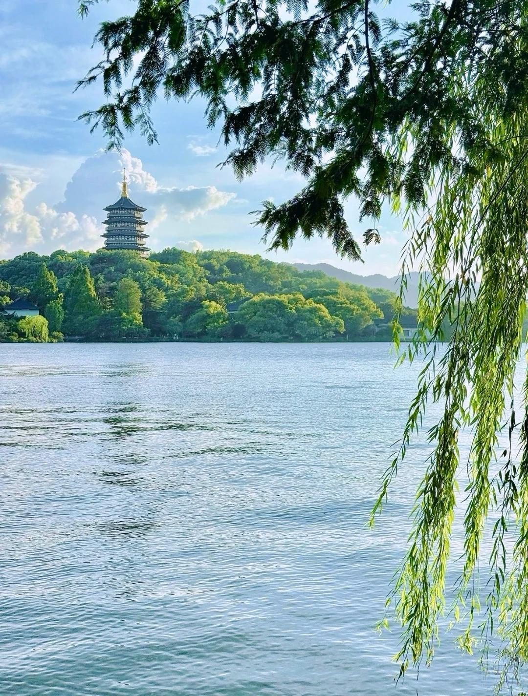 Willow branches over West Lake